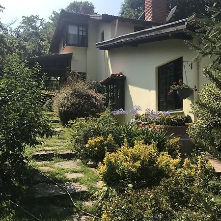 Quiet Mountain House